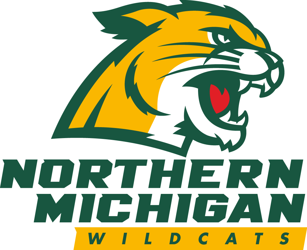 Northern Michigan Wildcats 2016-Pres Primary Logo DIY iron on transfer (heat transfer)